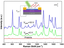 Graphical abstract: A WOx/MoOx hybrid oxide based SERS FET and investigation on its tunable SERS performance