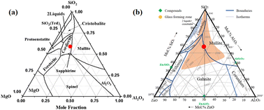 Graphical abstract: Impacts of substituting magnesium with zinc on crystallization behaviors in an aluminosilicate glass