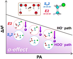 Graphical abstract: Solvent-induced dual nucleophiles and the α-effect in the SN2 versus E2 competition