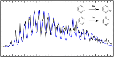 Graphical abstract: Photoelectron spectrum of the pyridyl radical