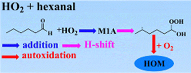 Graphical abstract: Quantitative kinetics reveal that reactions of HO2 are a significant sink for aldehydes in the atmosphere and may initiate the formation of highly oxygenated molecules via autoxidation