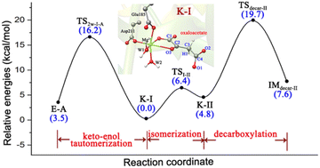 Graphical abstract: Computational insights into the binding modes, keto–enol tautomerization and stereo-electronically controlled decarboxylation of oxaloacetate in the active site of macrophomate synthase