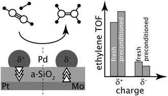 Graphical abstract: Same size, same support, same spectator? Selective acetylene hydrogenation on supported Pd nanoparticles