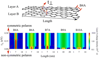 Graphical abstract: Width effects on bilayer graphene nanoribbon polarons