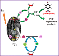 Graphical abstract: Neutral pH Fenton and photo-Fenton activity of Mo-doped iron-pyrite particles