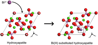 Graphical abstract: Site preference and local structural stability of Bi(iii) substitution in hydroxyapatite using first-principles simulations