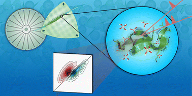 Graphical abstract: The secondary structure of diatom silaffin peptide R5 determined by two-dimensional infrared spectroscopy