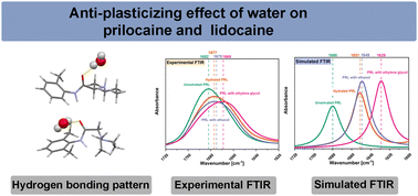 Graphical abstract: Anti-plasticizing effect of water on prilocaine and lidocaine – the role of the hydrogen bonding pattern