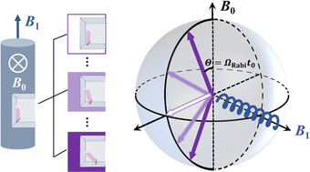 Graphical abstract: Angular-resolved Rabi oscillations of orthorhombic spins in a Co(ii) molecular qubit