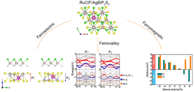 Graphical abstract: Two-dimensional multiferroic RuClF/AgBiP2S6 van der Waals heterostructures with valley splitting properties and controllable magnetic anisotropy