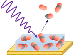 Graphical abstract: Flux and fluence effects on the vacuum-UV photodesorption and photoprocessing of CO2 ices