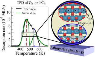 Graphical abstract: Characterization of adsorption sites on IrO2via temperature programmed O2 desorption simulations
