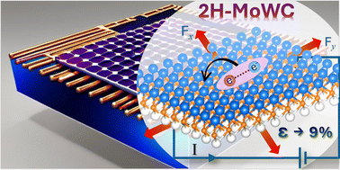 Graphical abstract: First-principles study on structural stabilities, mechanical properties, and biaxial strain-induced superconductivity in Janus MoWC monolayer