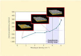 Graphical abstract: The thermodynamics of self-assembled monolayer formation: a computational and experimental study of thiols on a flat gold surface