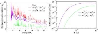 Graphical abstract: Theoretical study of a new molecular ion species BeN+: molecular states and cross sections for electronic excitation and dissociation