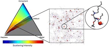 Graphical abstract: Insights into water extraction and aggregation mechanisms of malonamide-alkane mixtures