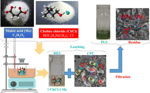 Graphical abstract: Green leaching of cold filter cakes using choline chloride–maleic acid deep eutectic solvent and molecular dynamics simulation