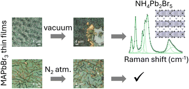 Graphical abstract: Physical and chemical properties and degradation of MAPbBr3 films on transparent substrates