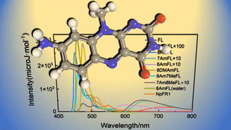 Graphical abstract: Lightening flavin by amination for fluorescent sensing