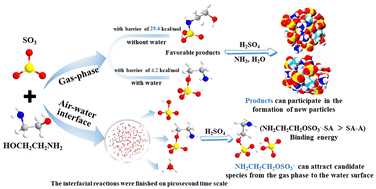 Graphical abstract: The reaction mechanism of SO3 with the multifunctional compound ethanolamine and its atmospheric implications