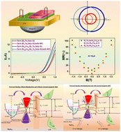 Graphical abstract: Effect of an external/internal magnetic field on the photocurrent in Py-topological insulator heterojunction Ni80Fe20/TI (Bi2Te3/Bi2Se3/Bi2Te2Se)/p-Si devices