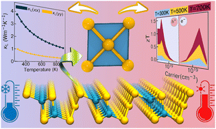 Graphical abstract: Polytelluride square planar chain-induced anharmonicity results in ultralow thermal conductivity and high thermoelectric efficiency in Al2Te5 monolayers