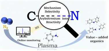 Graphical abstract: Observing C–N bond formation in plasma: a case study of benzene and dinitrogen coupling via an arylnitrenium ion intermediate