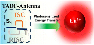 Graphical abstract: Thermally activated delayed fluorescence emitters for efficient sensitization of europium(iii)