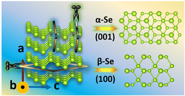 Graphical abstract: Multivalency-induced structural variations of 2D selenium nanosheets: facile solution-phase synthesis and optical properties