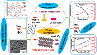 Graphical abstract: Manifestation of anharmonicities in terms of Fano scattering and phonon lifetime of scissors modes in α-MoO3