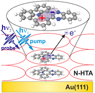 Graphical abstract: Determination of energetic positions of electronic states and the exciton dynamics in a π-expanded N-heterotriangulene derivative adsorbed on Au(111)