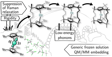 Graphical abstract: Intramolecular bridging strategies to suppress two-phonon Raman spin relaxation in dysprosocenium single-molecule magnets