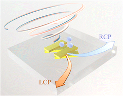 Graphical abstract: Nanoparticle manipulation based on chiral plasmon effects