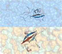 Graphical abstract: Essential dynamics of ubiquitin in water and in a natural deep eutectic solvent