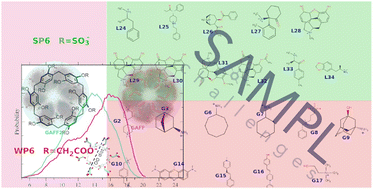 Graphical abstract: Methodological and force field effects in the molecular dynamics-based prediction of binding free energies of host–guest systems