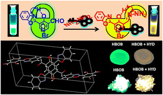 Graphical abstract: Switching of photoinduced proton transfer from one six-membered hydrogen-bonded ring to other: a molecule of hydrazine and pH sensor