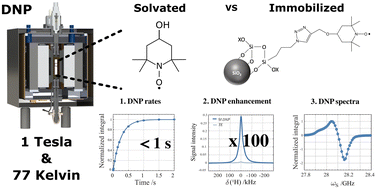 Graphical abstract: Full optimization of dynamic nuclear polarization on a 1 tesla benchtop polarizer with hyperpolarizing solids