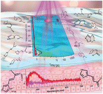 Graphical abstract: Urocanic acid as a novel scaffold for next-gen nature-inspired sunscreens: II. Time-resolved spectroscopy under solution conditions