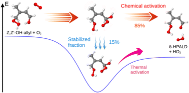 Graphical abstract: Reaction pathways leading to HPALD intermediates in the OH-initiated oxidation of isoprene