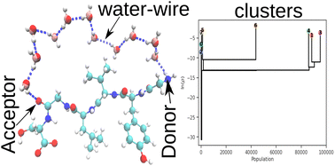 Graphical abstract: Graph-based analysis of H-bond networks and unsupervised learning reveal conformational coupling in prion peptide segments