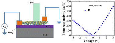 Graphical abstract: Enhanced photodetection through a perovskite BaTiO3 dielectric in a Si–MoS2 heterojunction