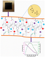 Graphical abstract: Triazole-rich 3D metal–organic framework incorporated solid electrolytes for superior proton conductivity and durability in fuel cells