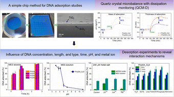 Graphical abstract: A comprehensive adsorption and desorption study on the interaction of DNA oligonucleotides with TiO2 nanolayers