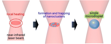 Graphical abstract: Optical trapping of nanoclusters formed in a temperature-responsive ionic liquid aqueous solution under focused near-infrared laser irradiation