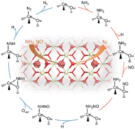 Graphical abstract: Mechanistic insights into NH3-assisted selective reduction of NO on CeO2: a first-principles microkinetic study on selectivity and activity