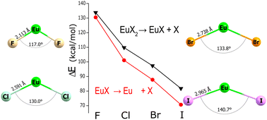 Graphical abstract: Composite ab initio vibrational spectroscopy and thermochemistry of low-valency lanthanide compounds: europium dihalides EuX2 (X = F, Cl, Br, I)