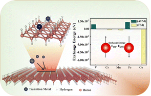 Graphical abstract: Unveiling the electronic and magnetic landscape of 3d transition metal doped hydrogenated borophenes: a first-principles study