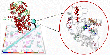 Graphical abstract: Salt-bridge mediated conformational dynamics in the figure-of-eight knotted ketol acid reductoisomerase (KARI)