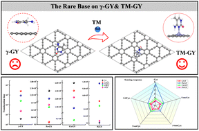 Graphical abstract: Adsorption of rare bases on transition metal doped γ-graphyne nanosheets: a DFT study