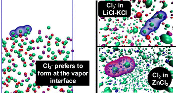 Graphical abstract: Chlorine gas and anion radical reactivity in molten salts and the link to chlorobasicity